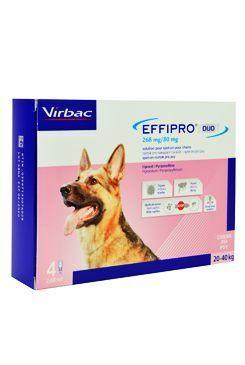 Effipro DUO Dog L (20-40kg) 268/80 mg, 4x2,68ml