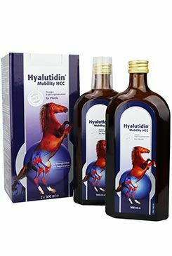 Hyalutidin Mobility HCC 2x500ml