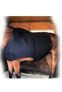 Recovery belt for horses VETOFLEX